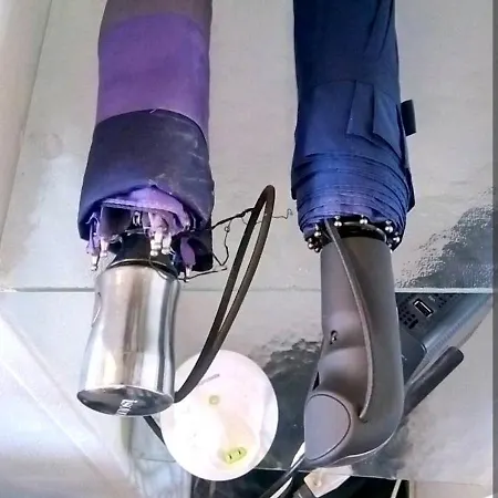 Calme Et Ecologie Aux Portes De Paris 塞纳河畔伊夫里